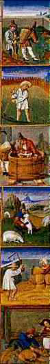 bauern.jpg (37230 Byte)